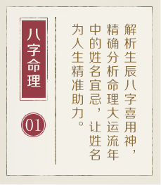 海安起名流程一